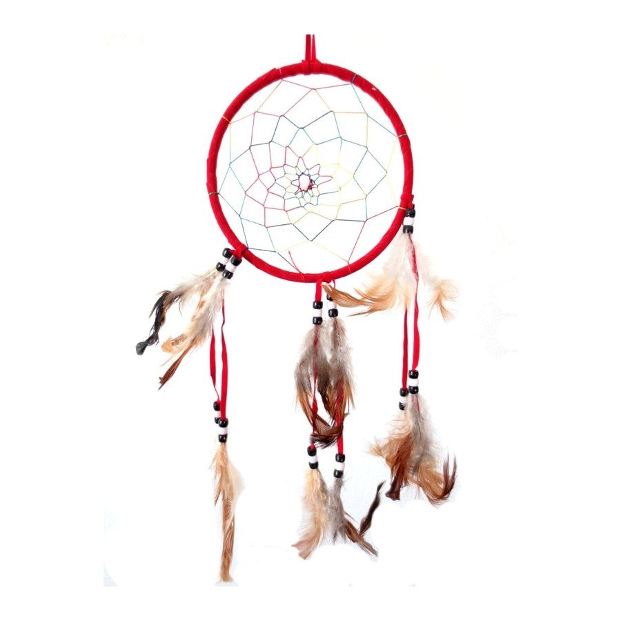 Grote dromenvanger (doorsnede 15 cm)