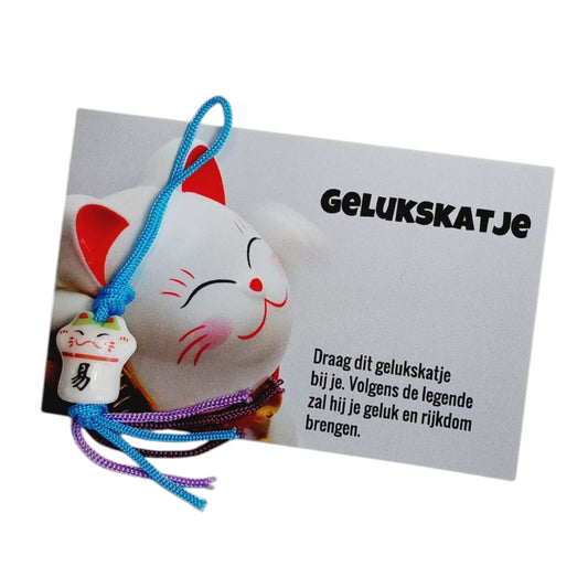 Kaartje met gelukskatje voor geluk en rijkdom