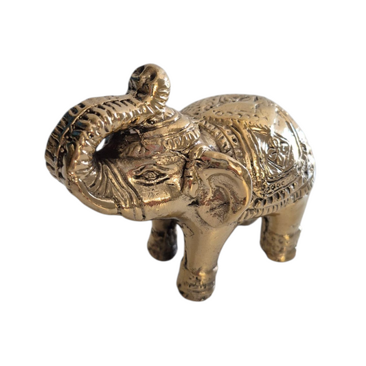 geluksolifant