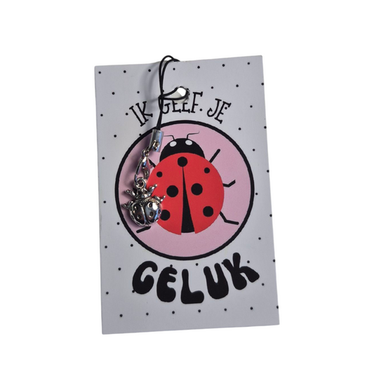 Kaartje ik geef je geluk met bedeltje lieveheersbeestje