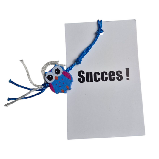 Kaartje Succes met uiltje