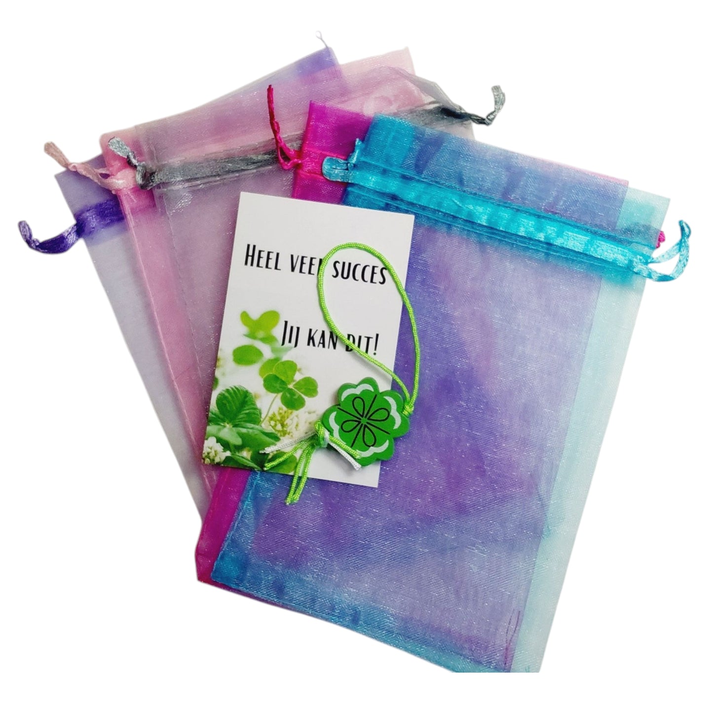 Kaartje Heel veel succes jij kan dit in kadozakje