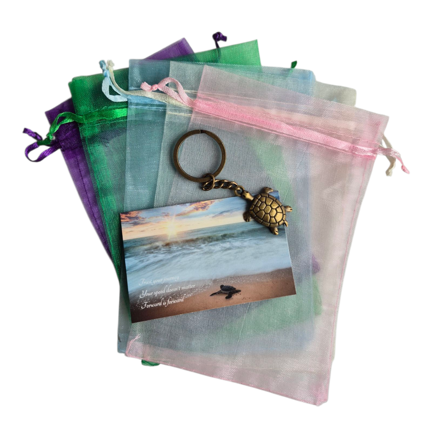 Sleutelhanger schildpad