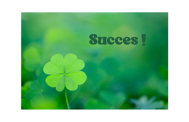 Dubbel kaartje 'Succes'