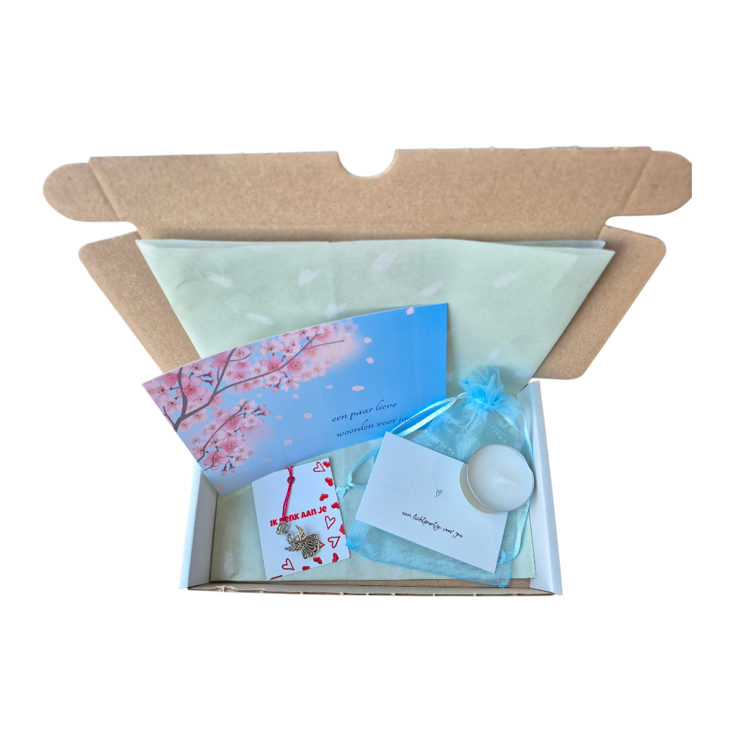 Troost brievenbus cadeautje