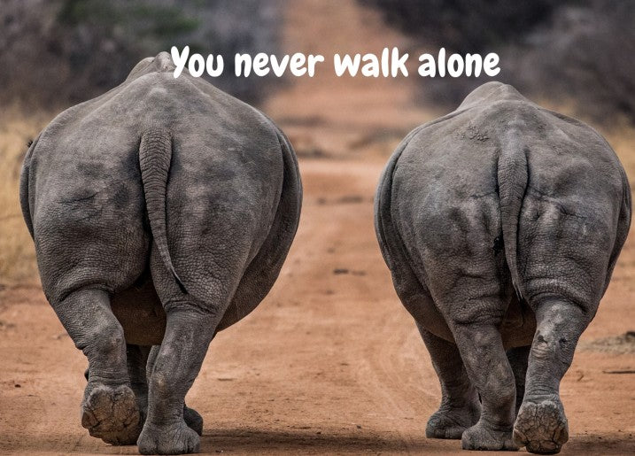 Kaart 'You never walk alone' met afbeelding van 2 neushoorns