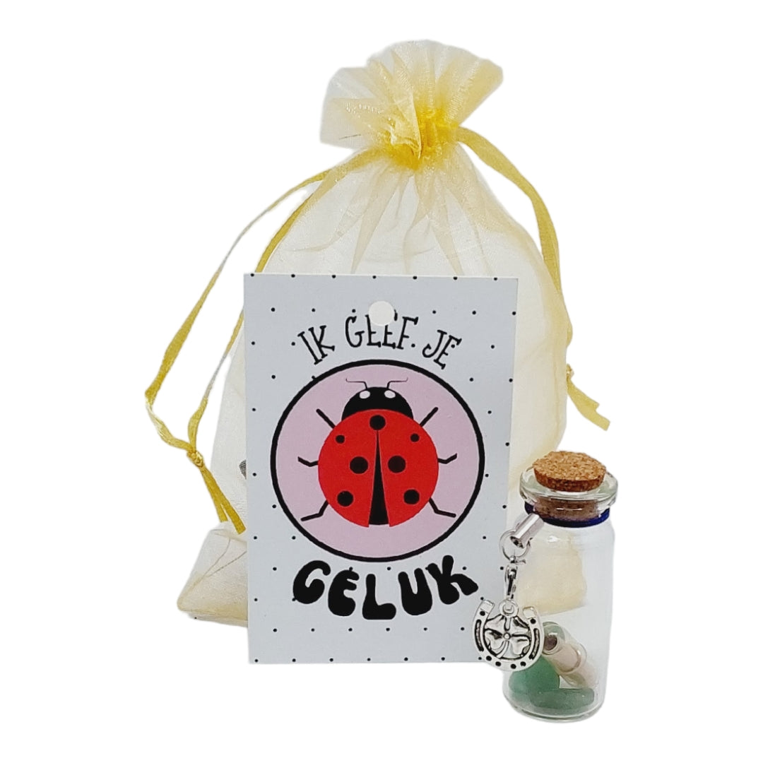 Geluksflesje ik geef je geluk met bedeltje en edelsteentjes