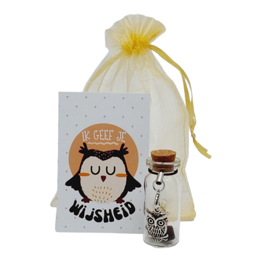 Wensflesje ik geef je wijsheid met uiltje en edelsteentjes