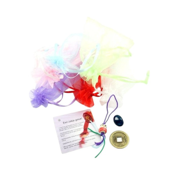 Gelukszakje - organza gelukskadootje met gelukspoppetje steentje en muntje.