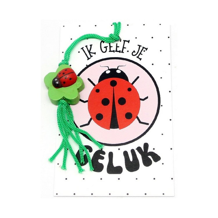 Kaartje ik geef je geluk lieveheersbeestje met hangertje klavertje vier