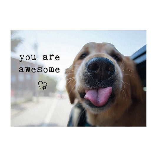 Kaart You are awesome 10 x 15 cm