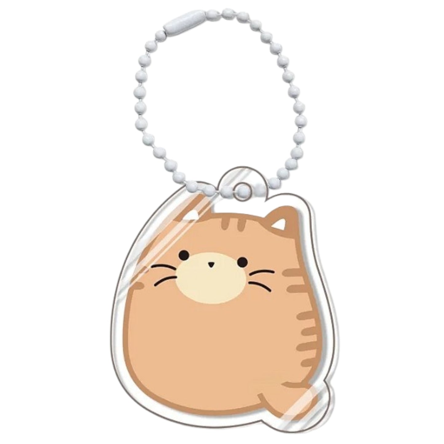 Schattig katje aan een korte bolletjesketting