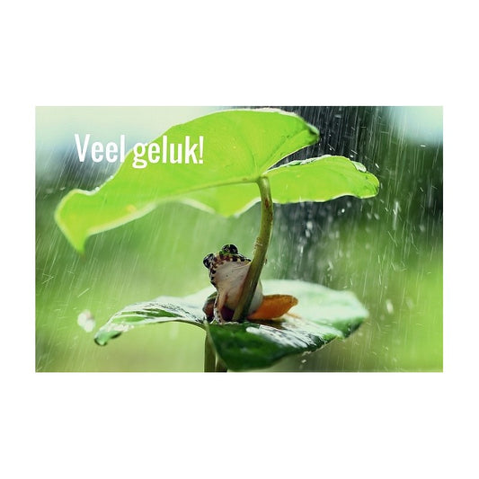 Dubbel kaartje Veel geluk met kikkertje