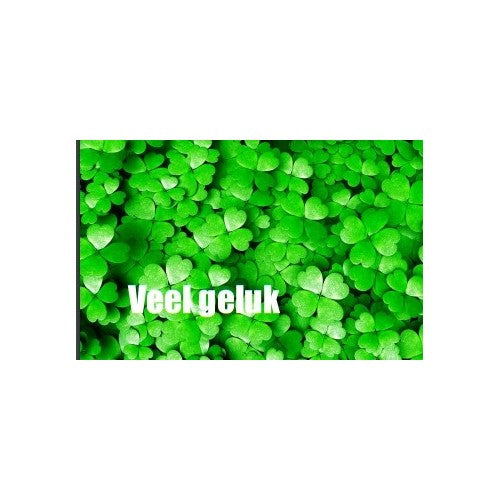 Dubbel kaartje 'Veel geluk'