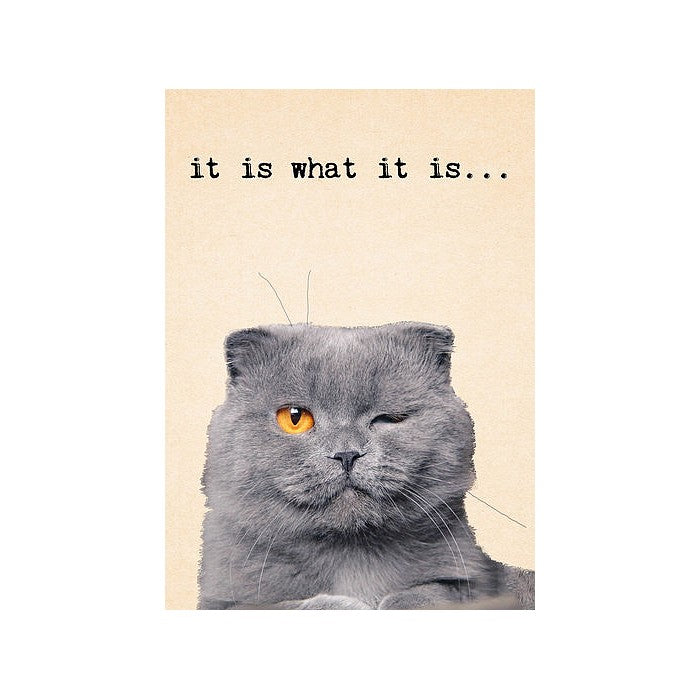 Kaart met spreuk 'It is what it is'
