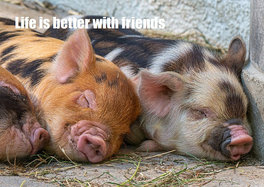 Kaart met tekst 'Life is better with friends'