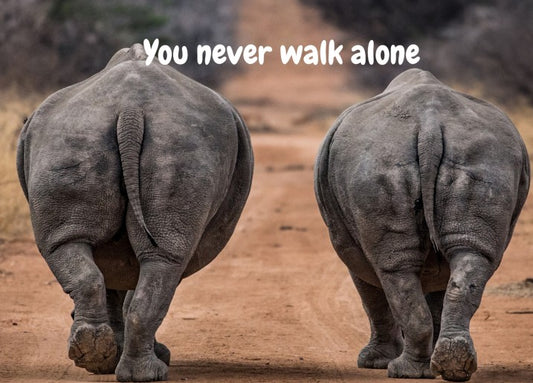 Kaart 'You never walk alone' met afbeelding van 2 neushoorns
