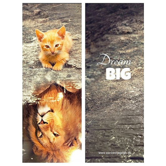 Boekenlegger 'Dream Big'