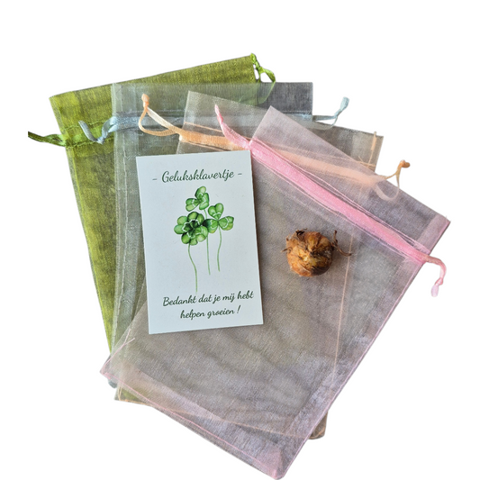 geluksklavertje bedankt dat je mij hebt helpen groeien.