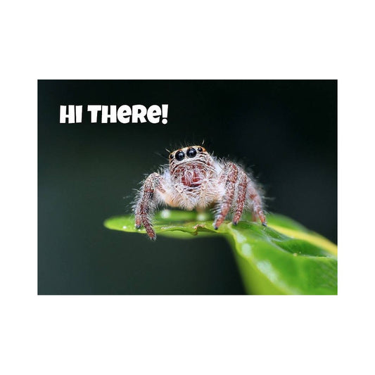 Kaart Hi There!