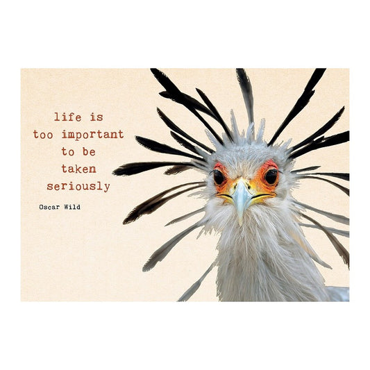 Life is too important to be taken seriously - kaart
